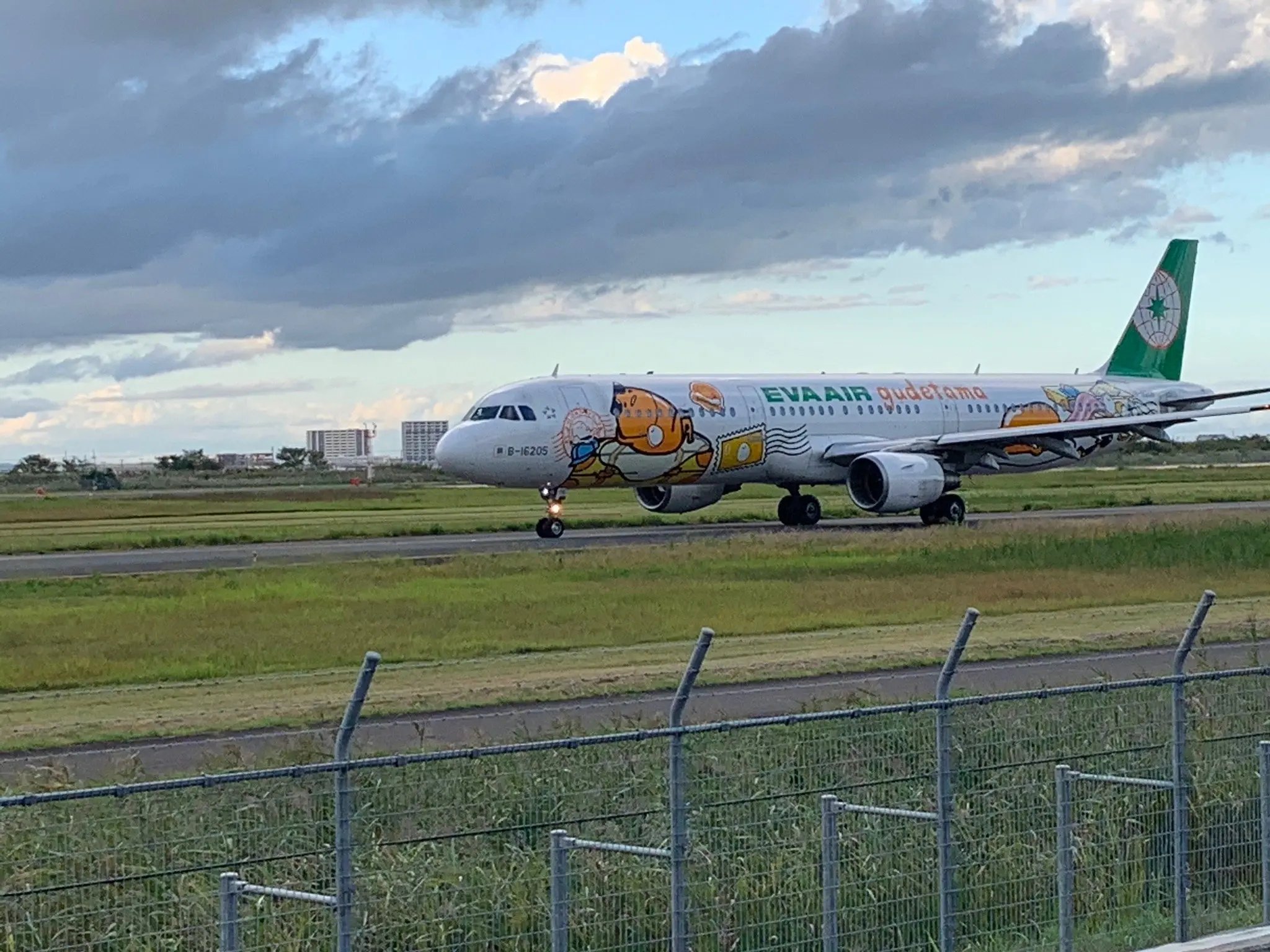 ✈️ 센다이 공항 린쿠 공원 (센다이 쿠코 린쿠 코엔) 이미지 6